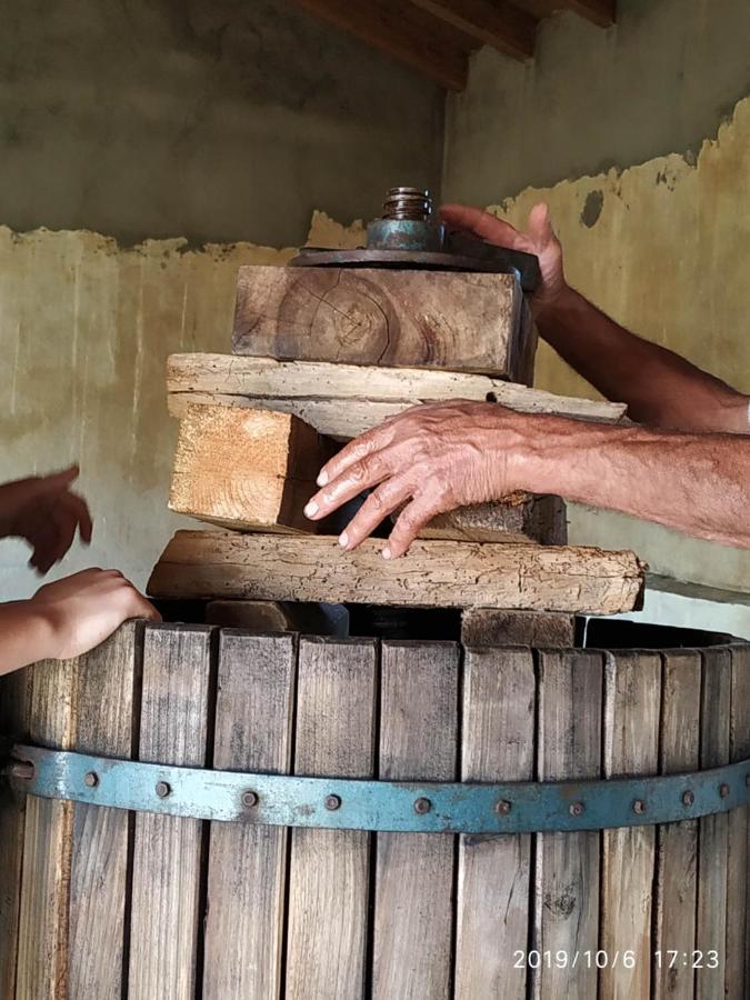 Casa Rural La Morena Castroverde de Cerrato エクステリア 写真