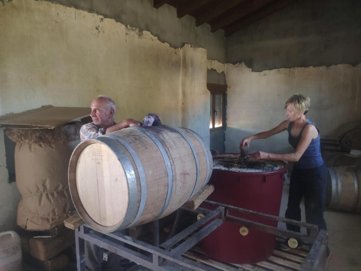 Casa Rural La Morena Castroverde de Cerrato エクステリア 写真