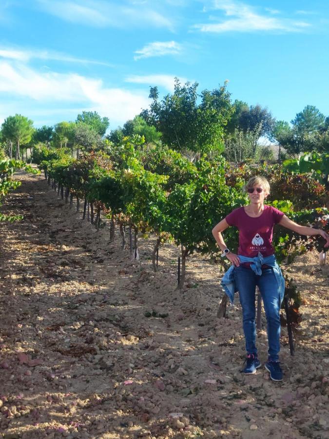 Casa Rural La Morena Castroverde de Cerrato エクステリア 写真